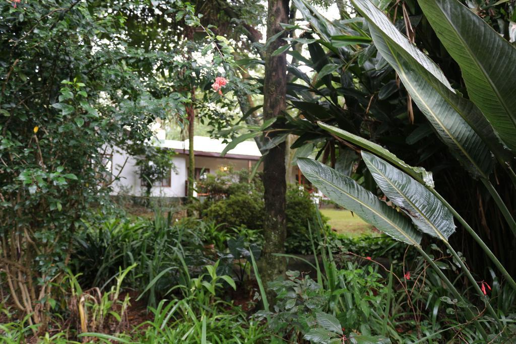 Softwaters Guesthouse Cottages Louis Trichardt Esterno foto